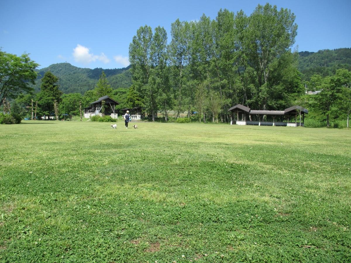 Togari Onsen Alpen Plaza Hotel Iiyama Exterior photo